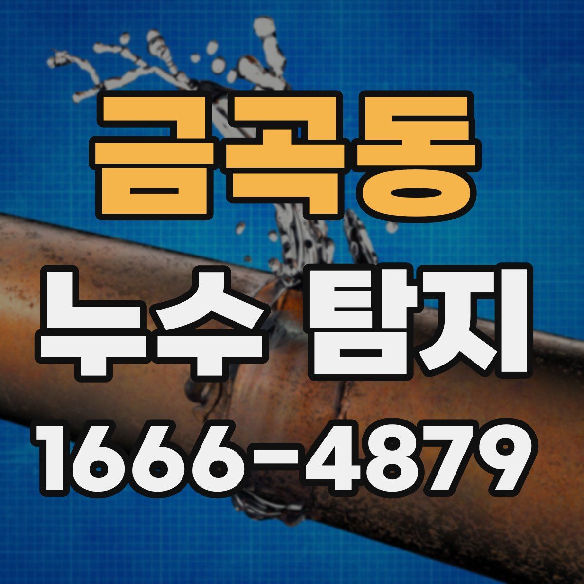 금곡동 누수 탐지