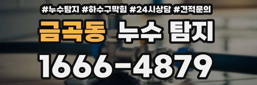 금곡동 누수 탐지