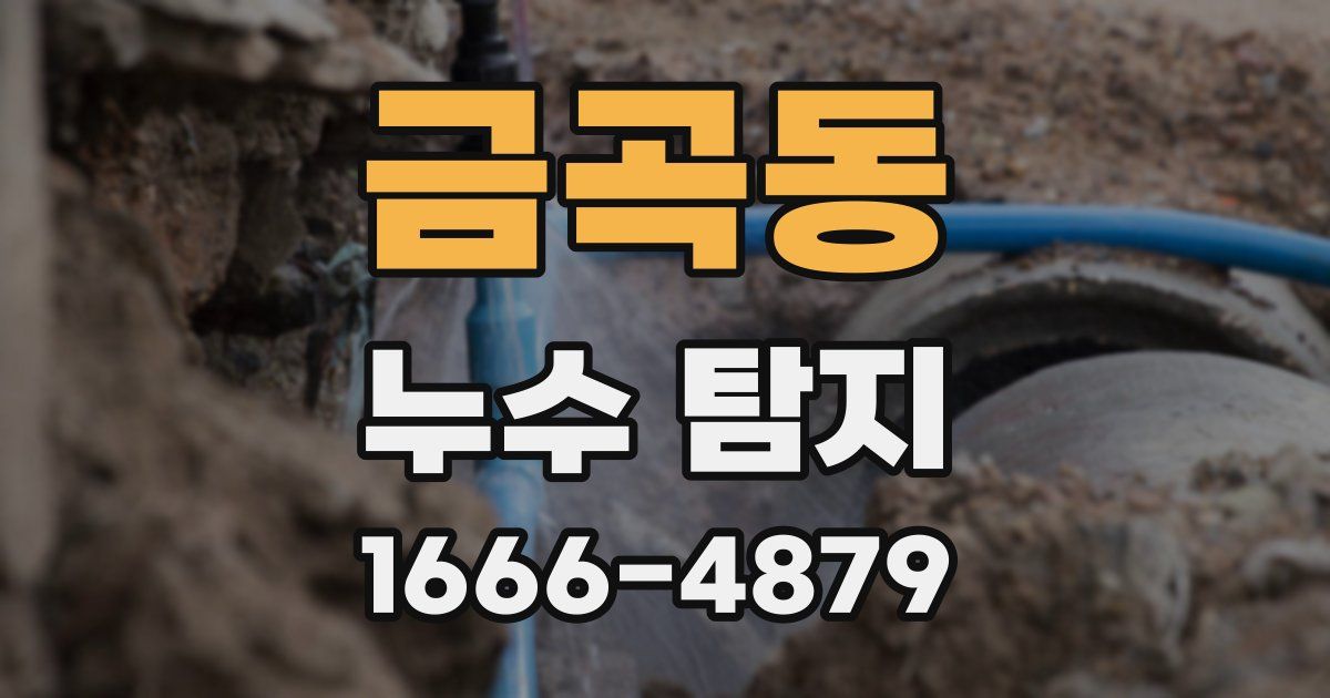 금곡동 누수 탐지