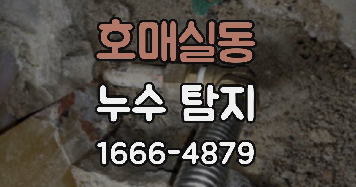 호매실동 누수 탐지