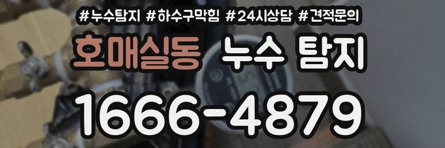 호매실동 누수 탐지