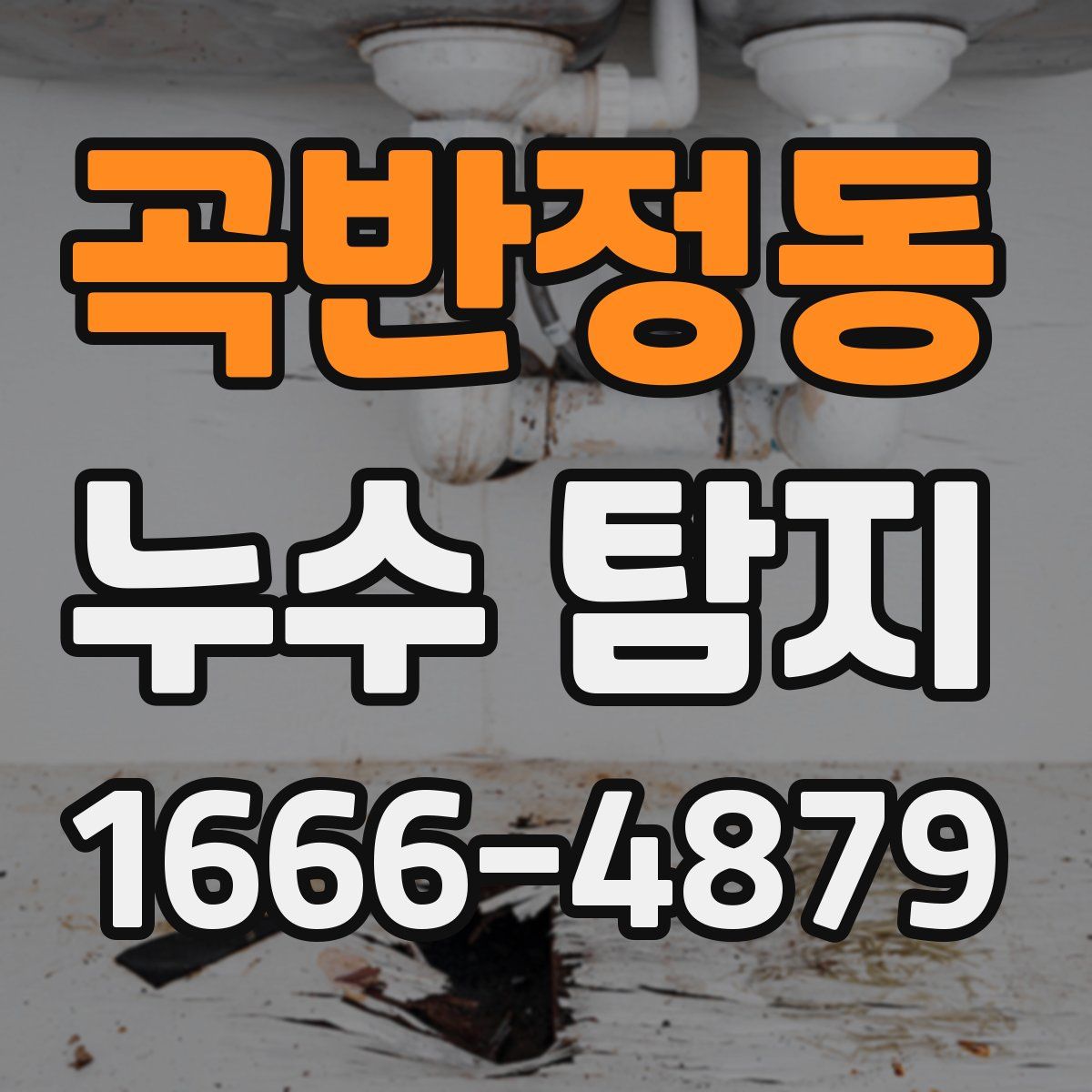 곡반정동 누수 탐지