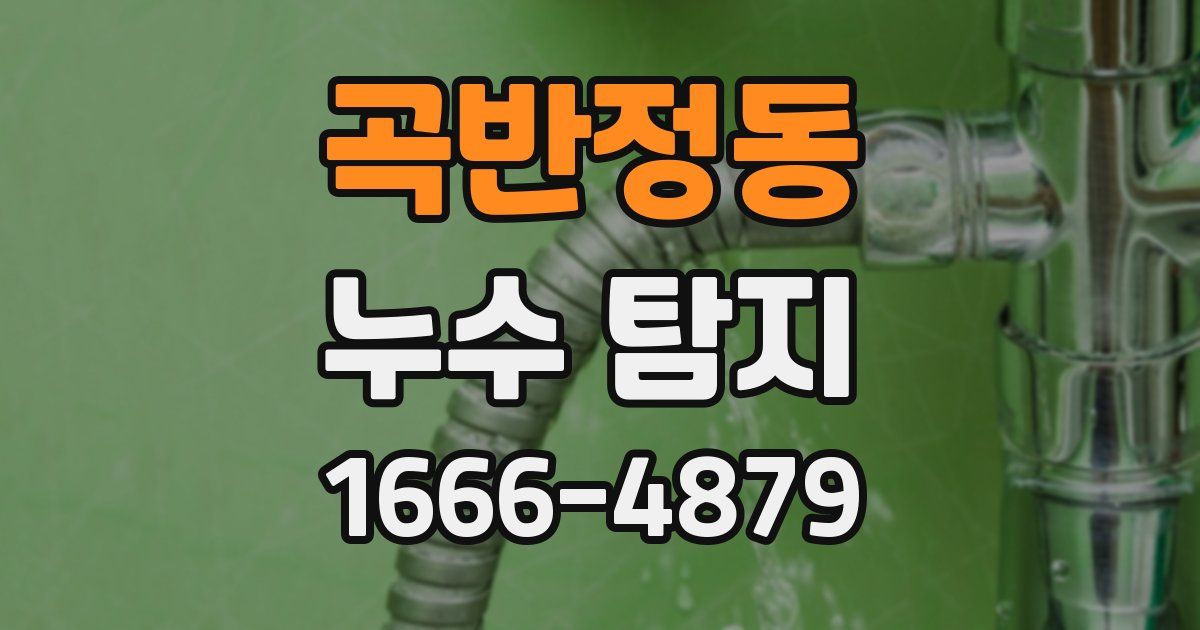 곡반정동 누수 탐지