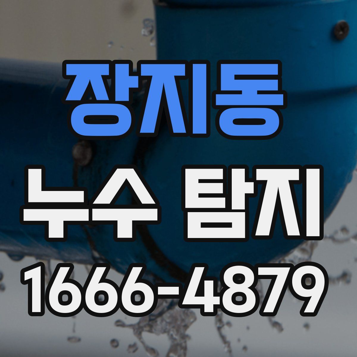 장지동 누수 탐지