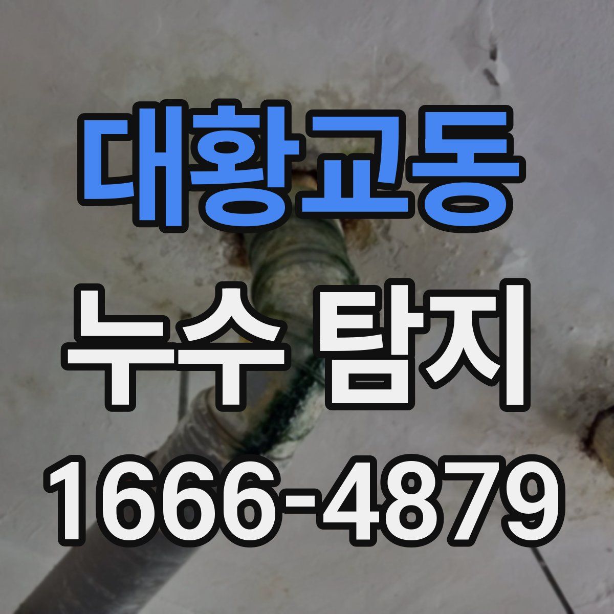 대황교동 누수 탐지