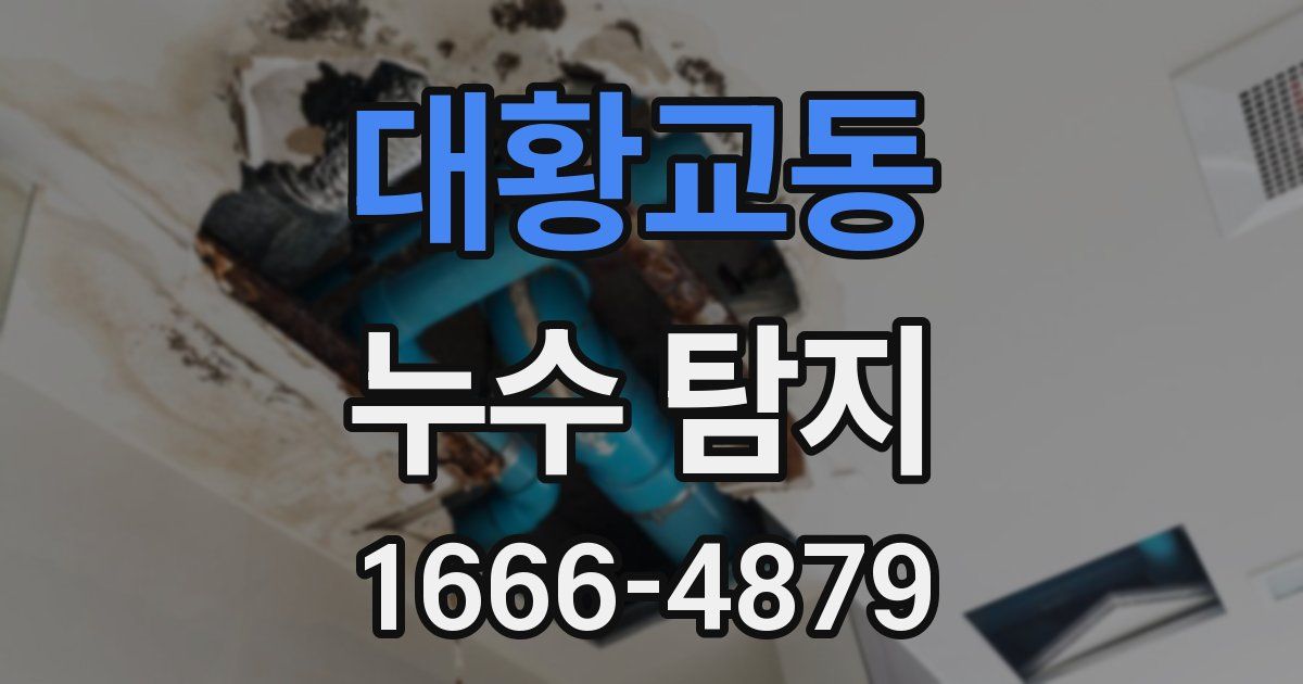 대황교동 누수 탐지