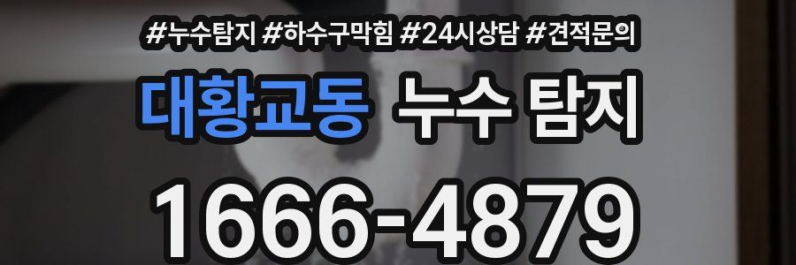 대황교동 누수 탐지