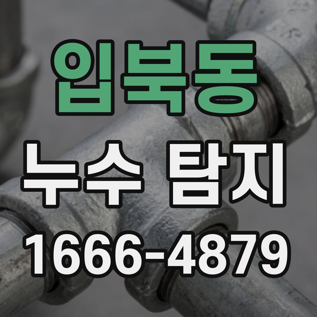 입북동 누수 탐지