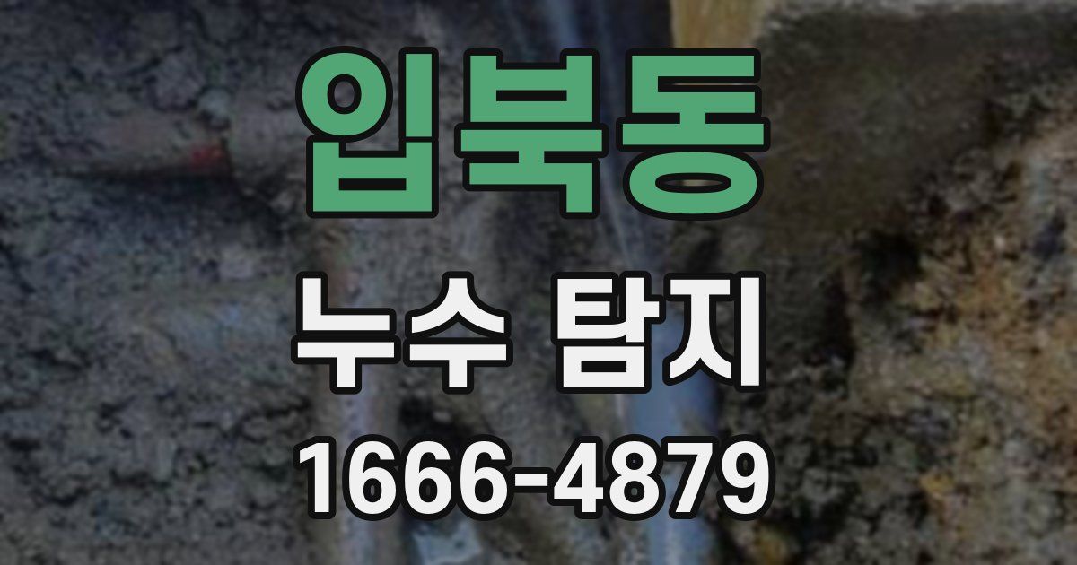 입북동 누수 탐지