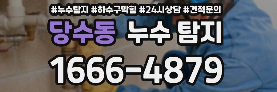 당수동 누수 탐지