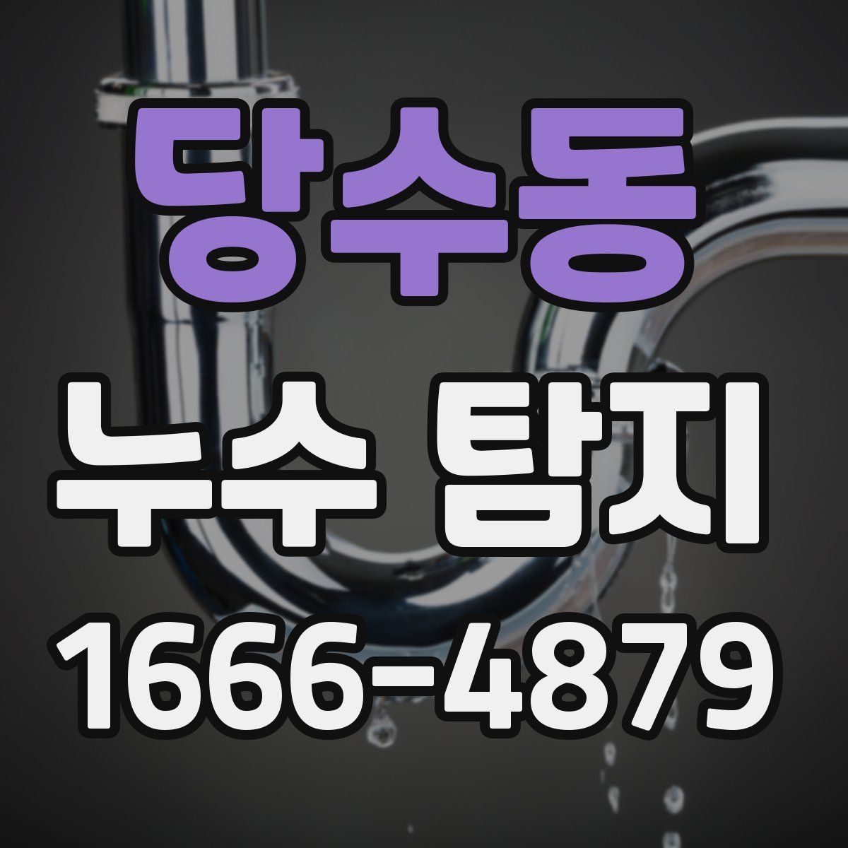 당수동 누수 탐지