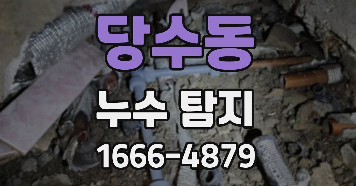 당수동 누수 탐지