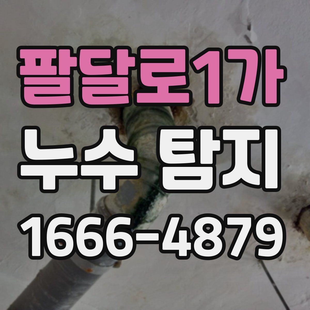 팔달로1가 누수 탐지