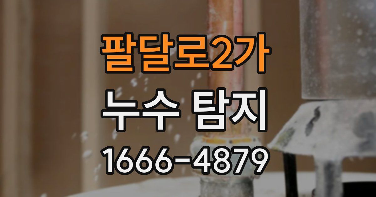 팔달로2가 누수 탐지
