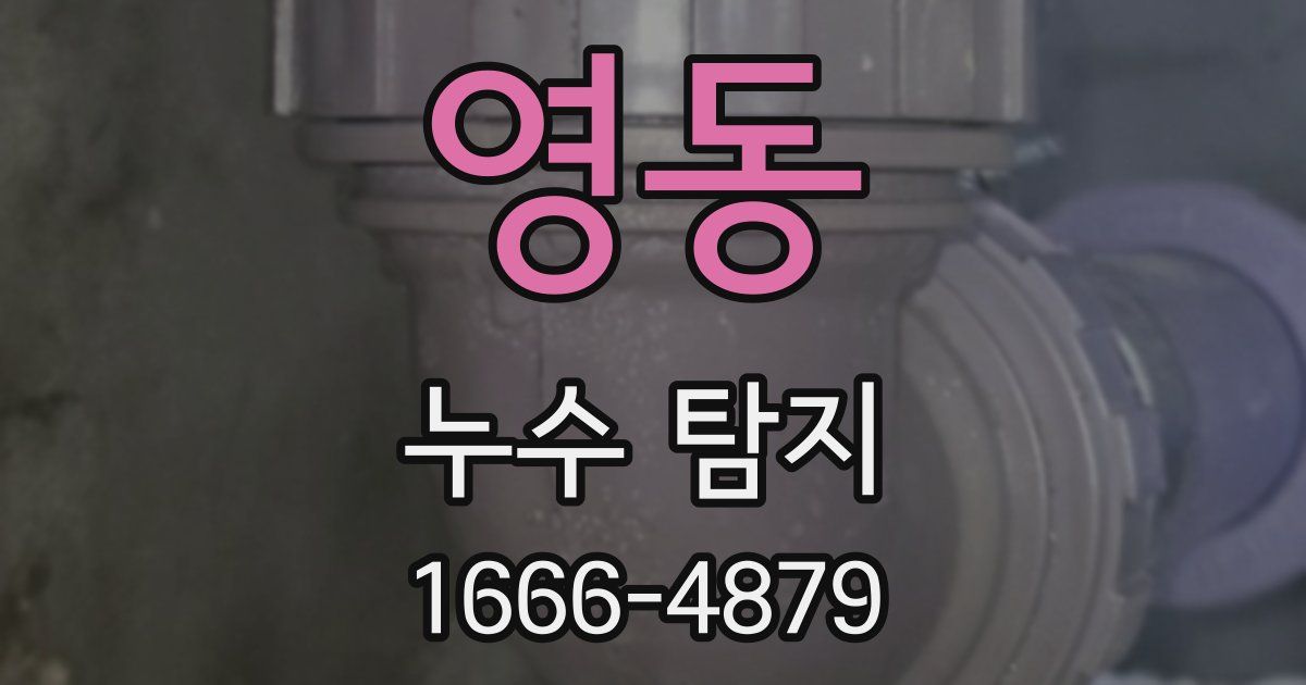 영동 누수 탐지