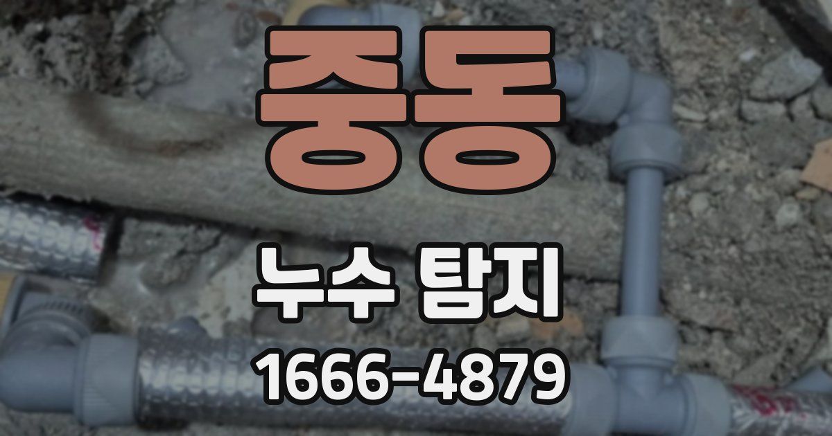 중동 누수 탐지