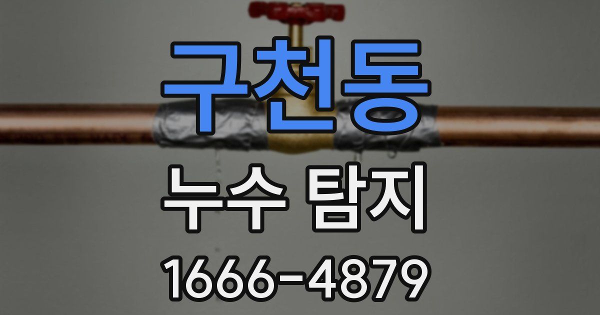 구천동 누수 탐지