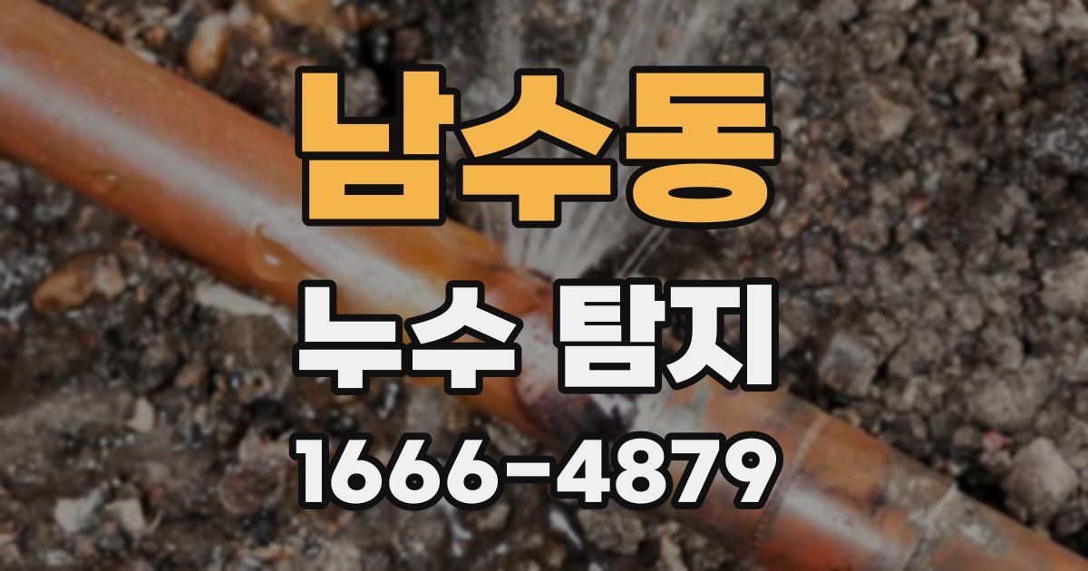 남수동 누수 탐지