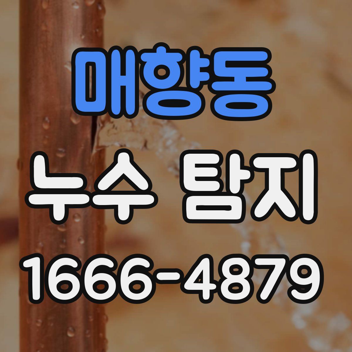매향동 누수 탐지