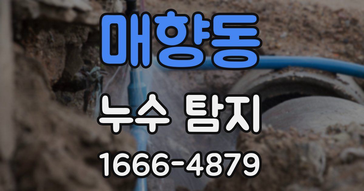 매향동 누수 탐지