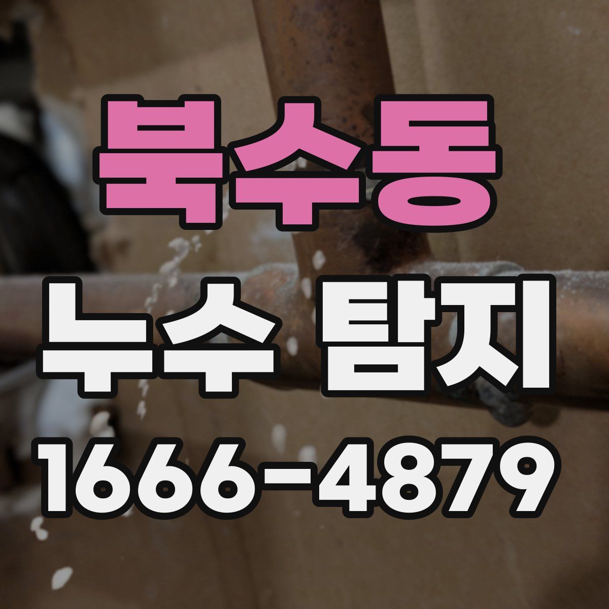 북수동 누수 탐지