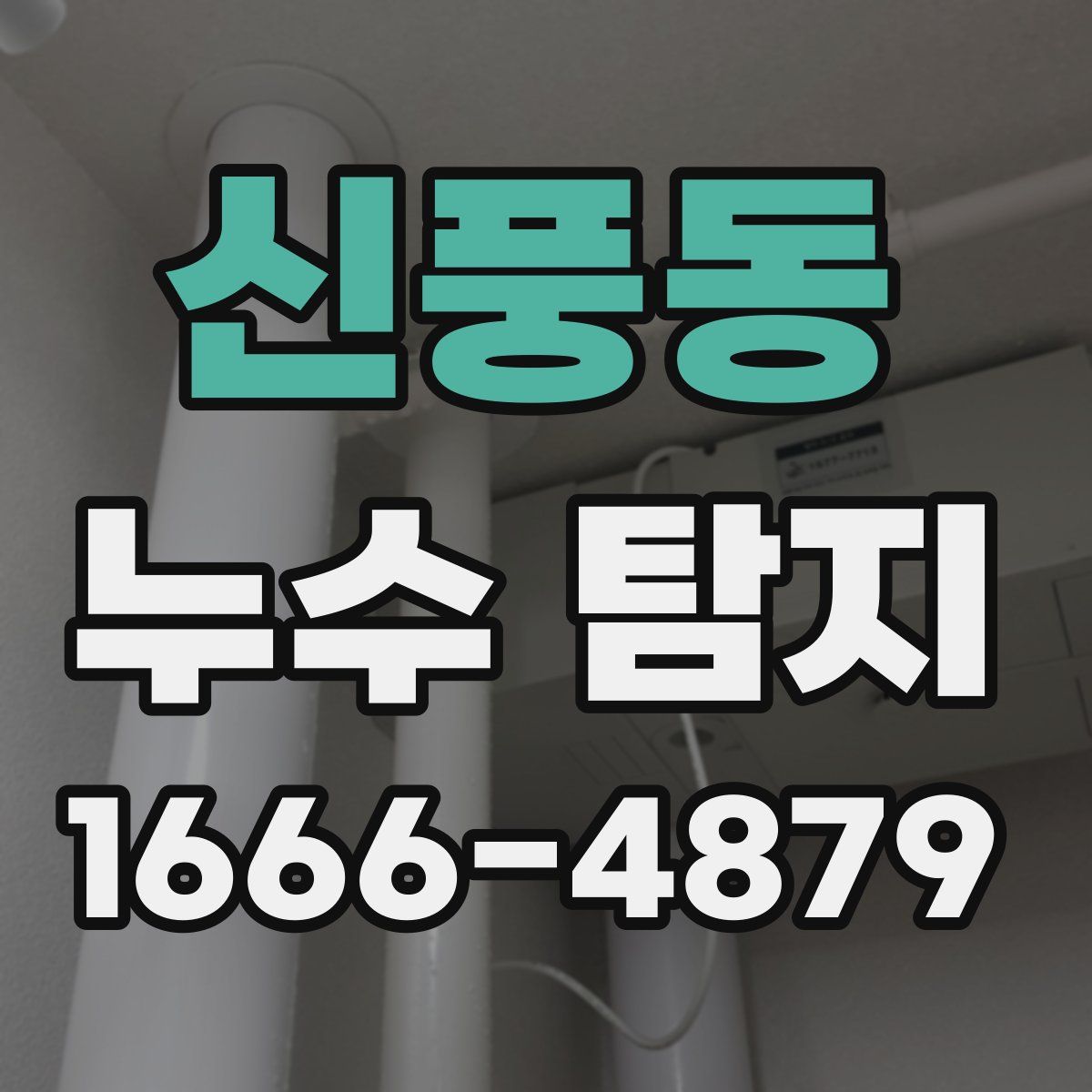 신풍동 누수 탐지