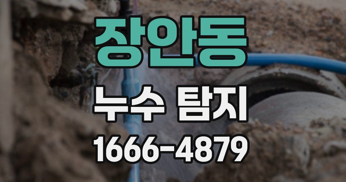 장안동 누수 탐지
