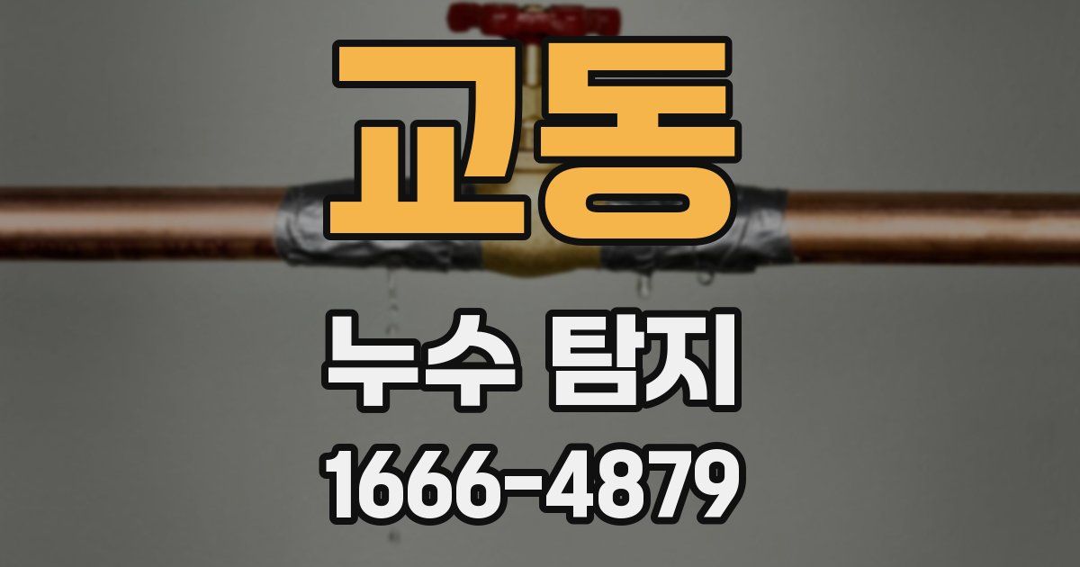 교동 누수 탐지