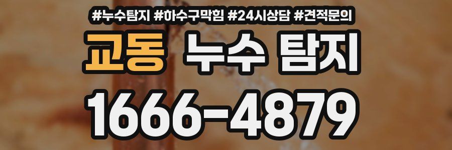 교동 누수 탐지