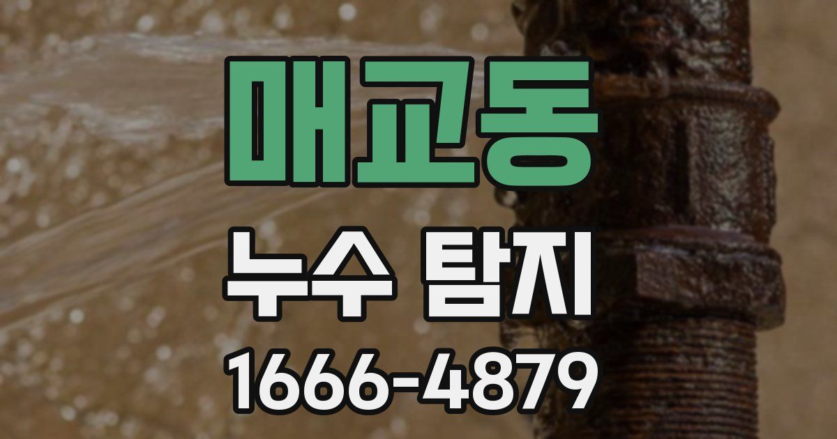 매교동 누수 탐지