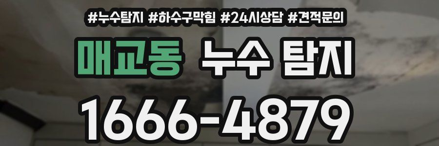 매교동 누수 탐지