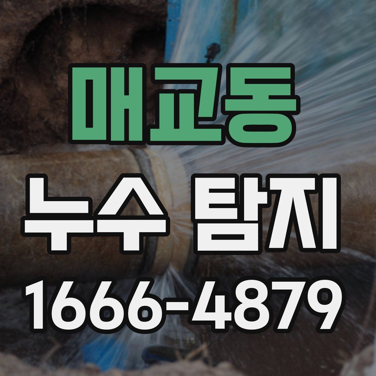 매교동 누수 탐지