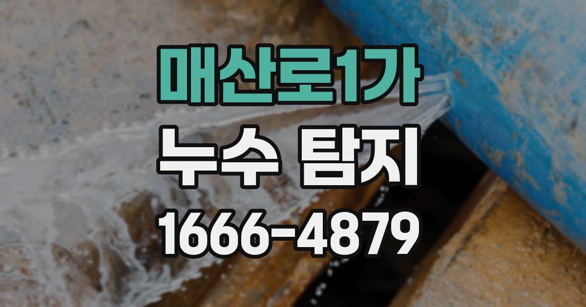 매산로1가 누수 탐지