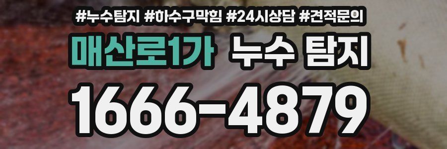 매산로1가 누수 탐지