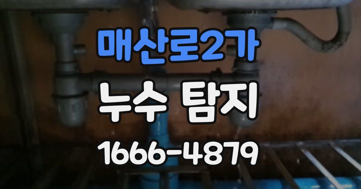매산로2가 누수 탐지