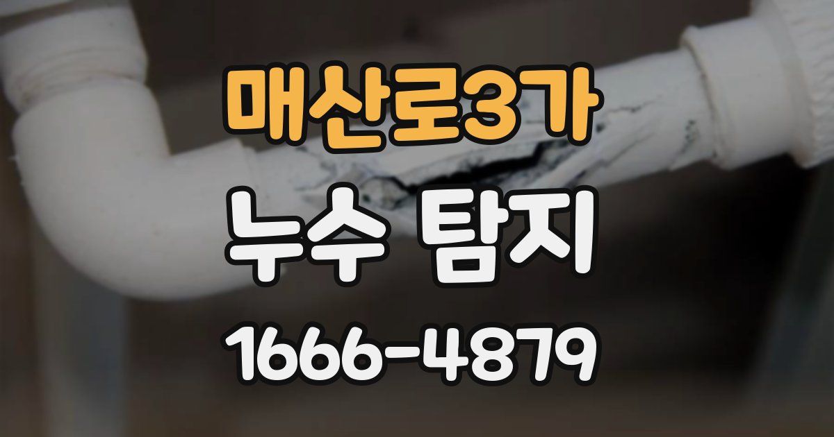 매산로3가 누수 탐지