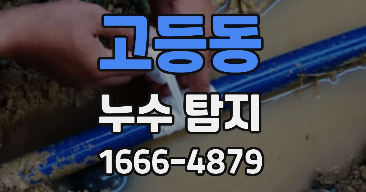 고등동 누수 탐지