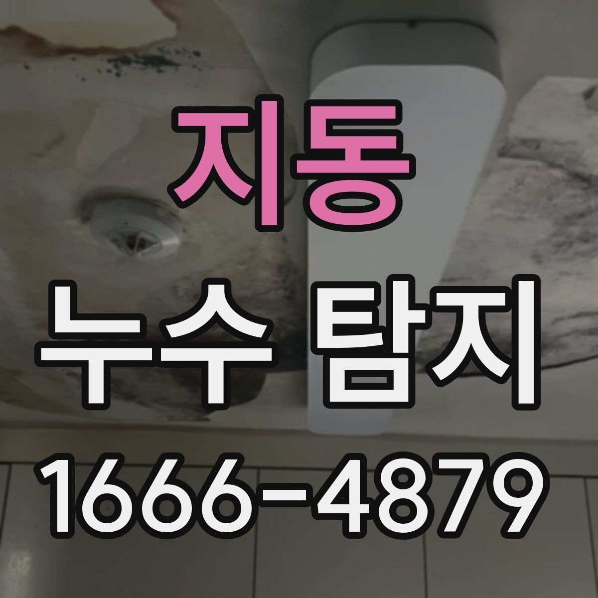지동 누수 탐지