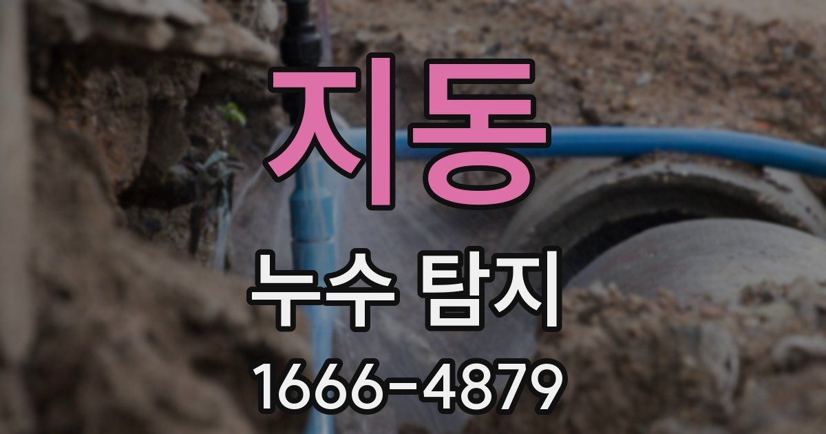 지동 누수 탐지