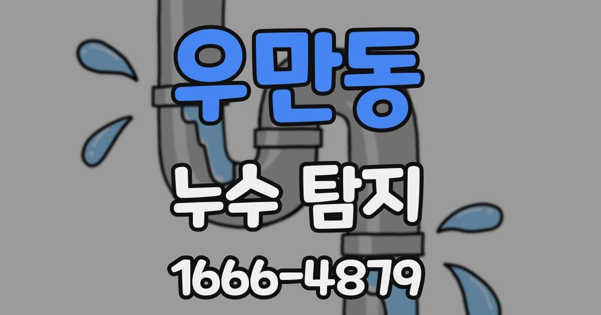 우만동 누수 탐지