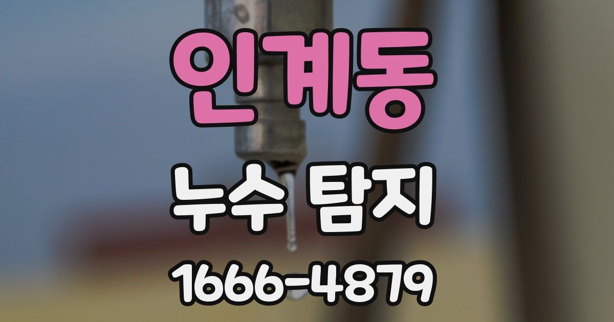 인계동 누수 탐지