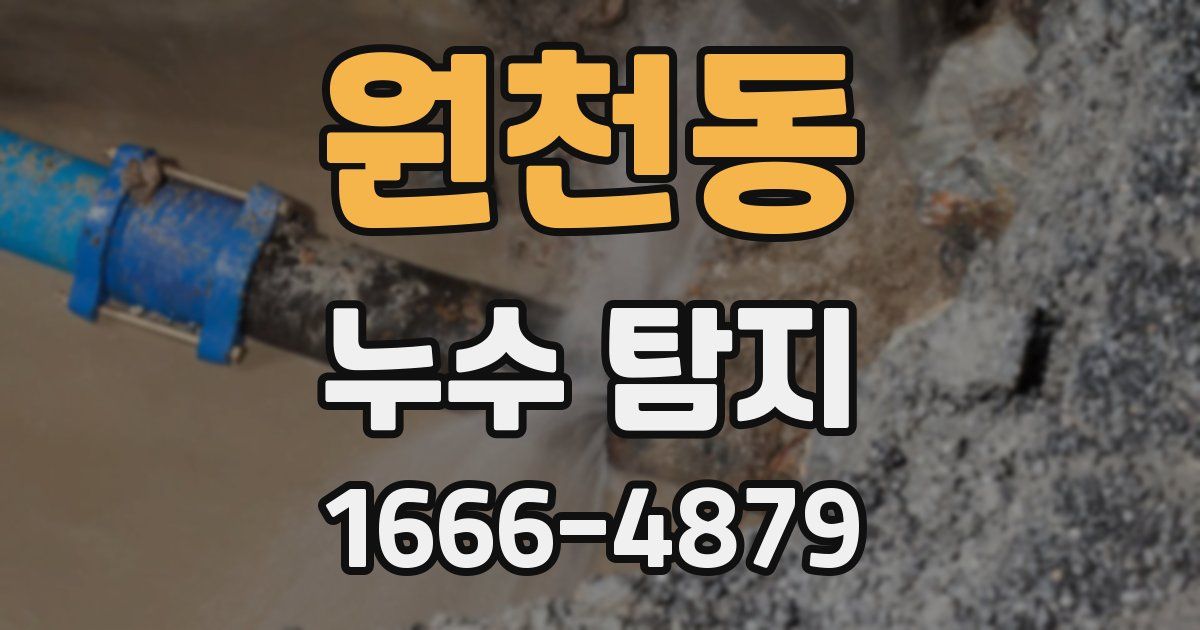 원천동 누수 탐지