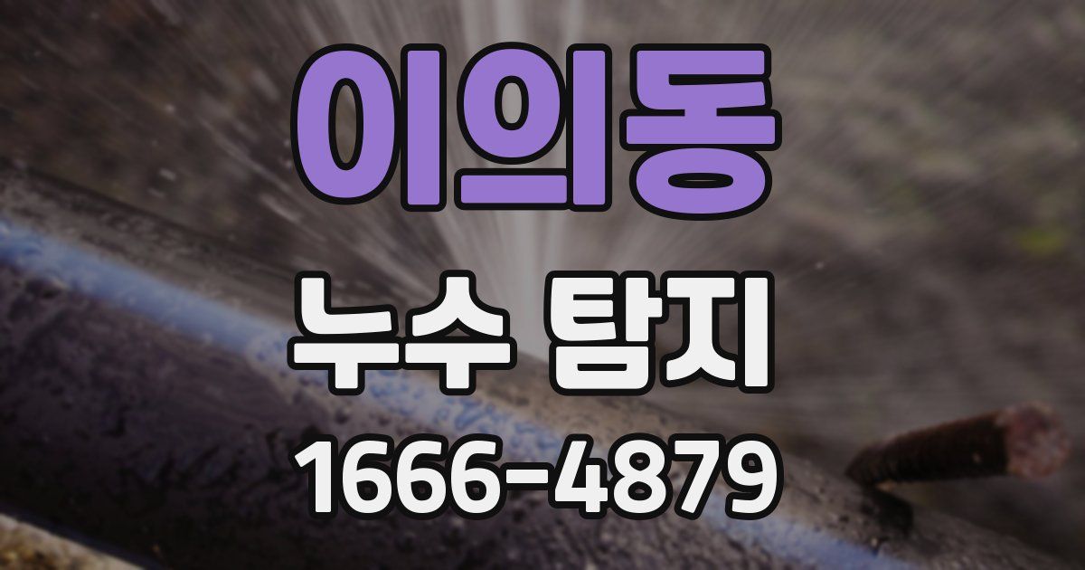 이의동 누수 탐지