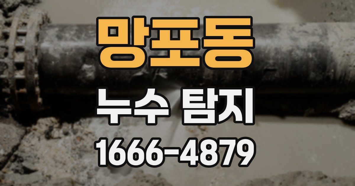 망포동 누수 탐지
