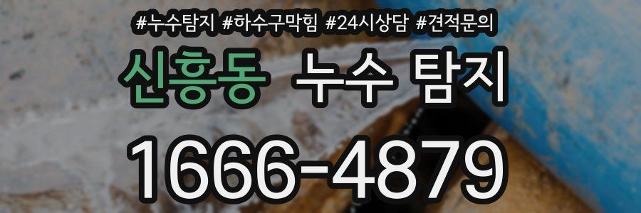 신흥동 누수 탐지