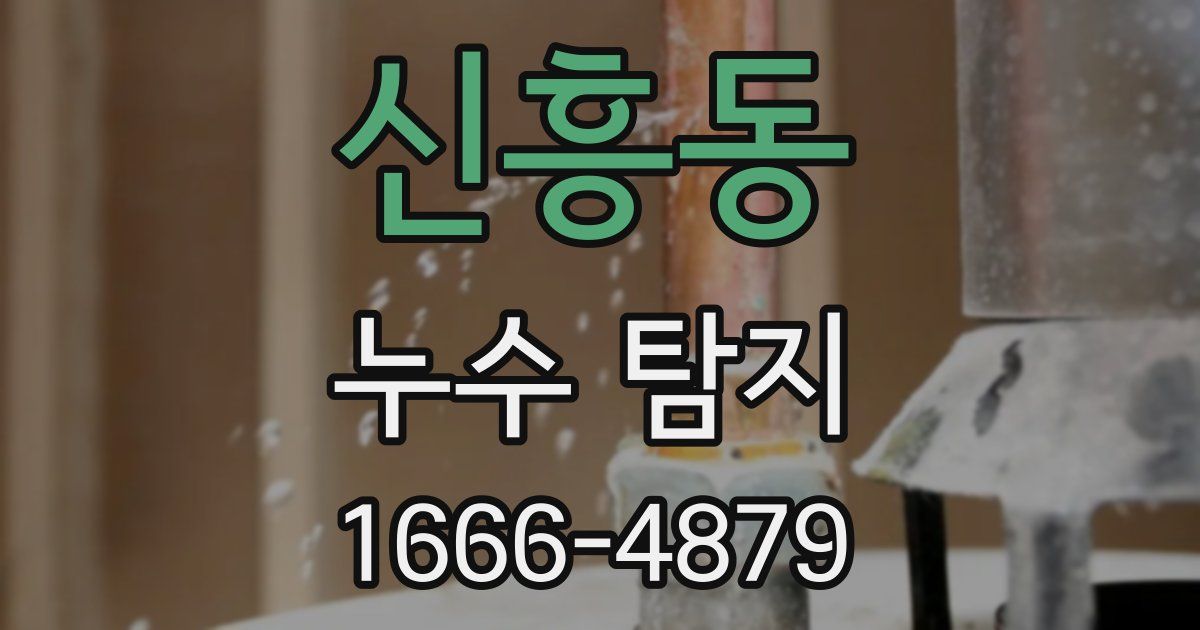 신흥동 누수 탐지