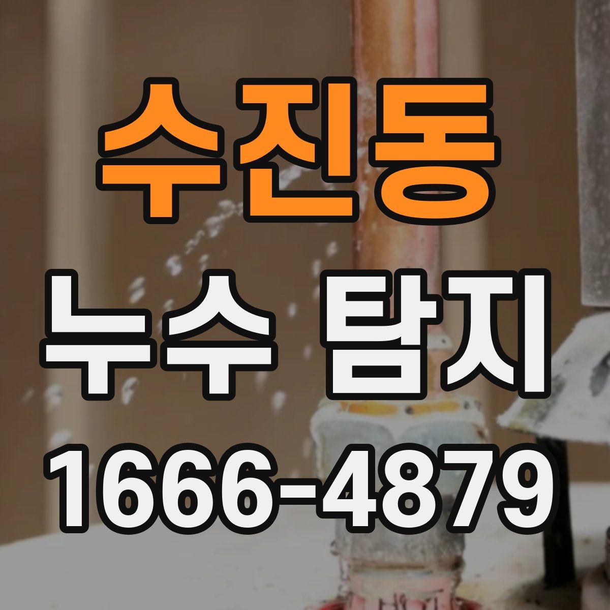 수진동 누수 탐지