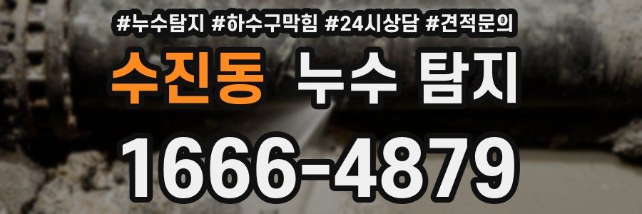 수진동 누수 탐지