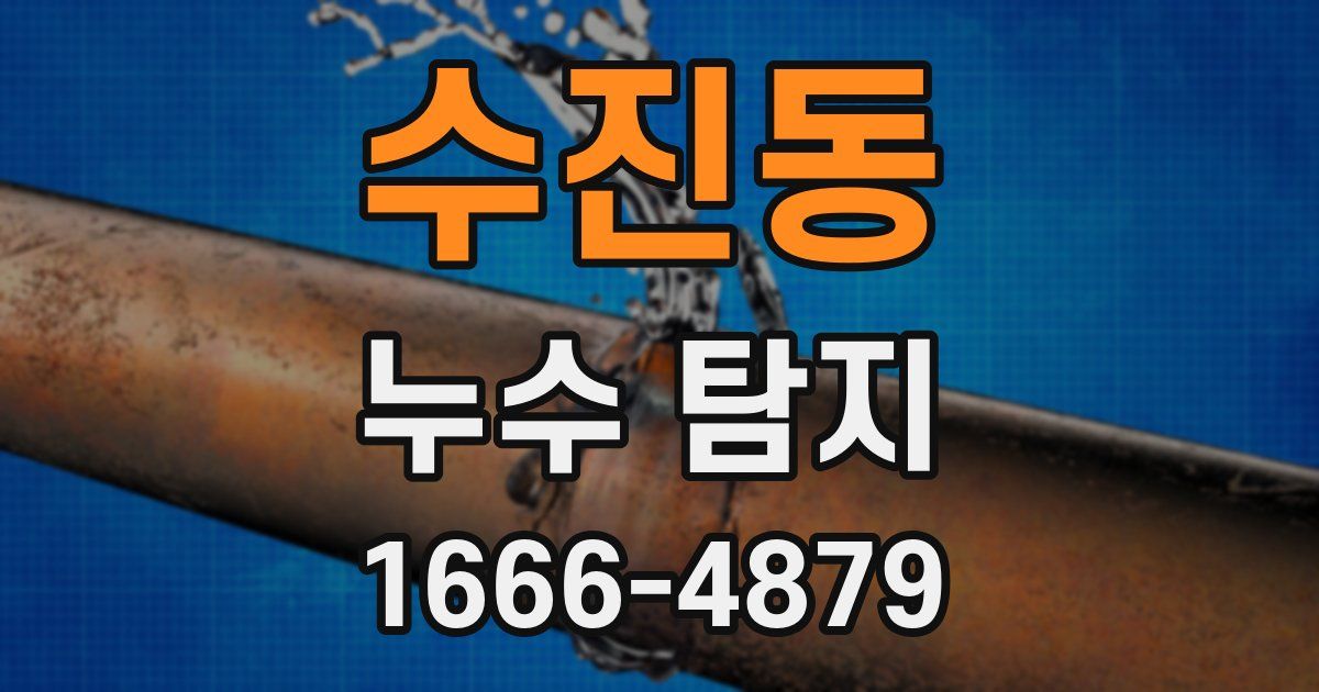수진동 누수 탐지