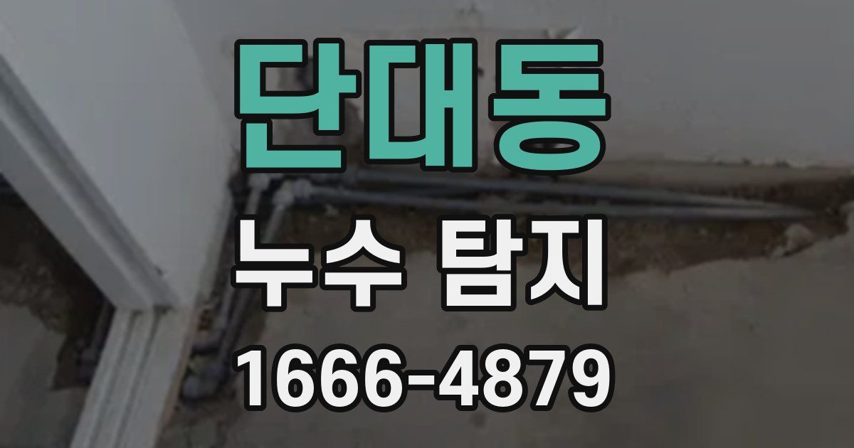 단대동 누수 탐지